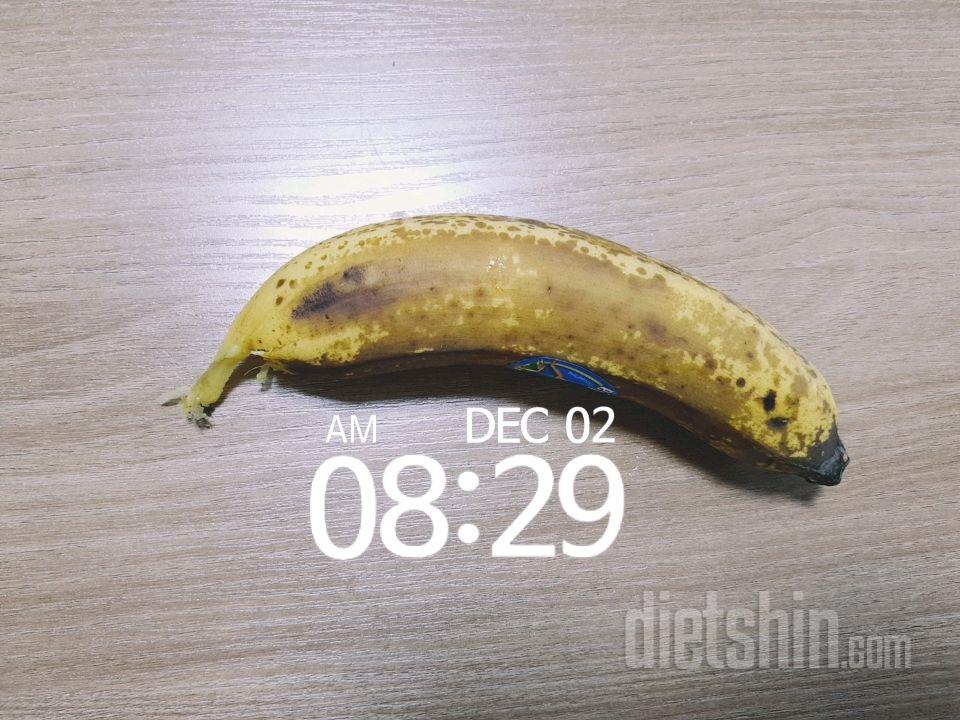 12.2 일지