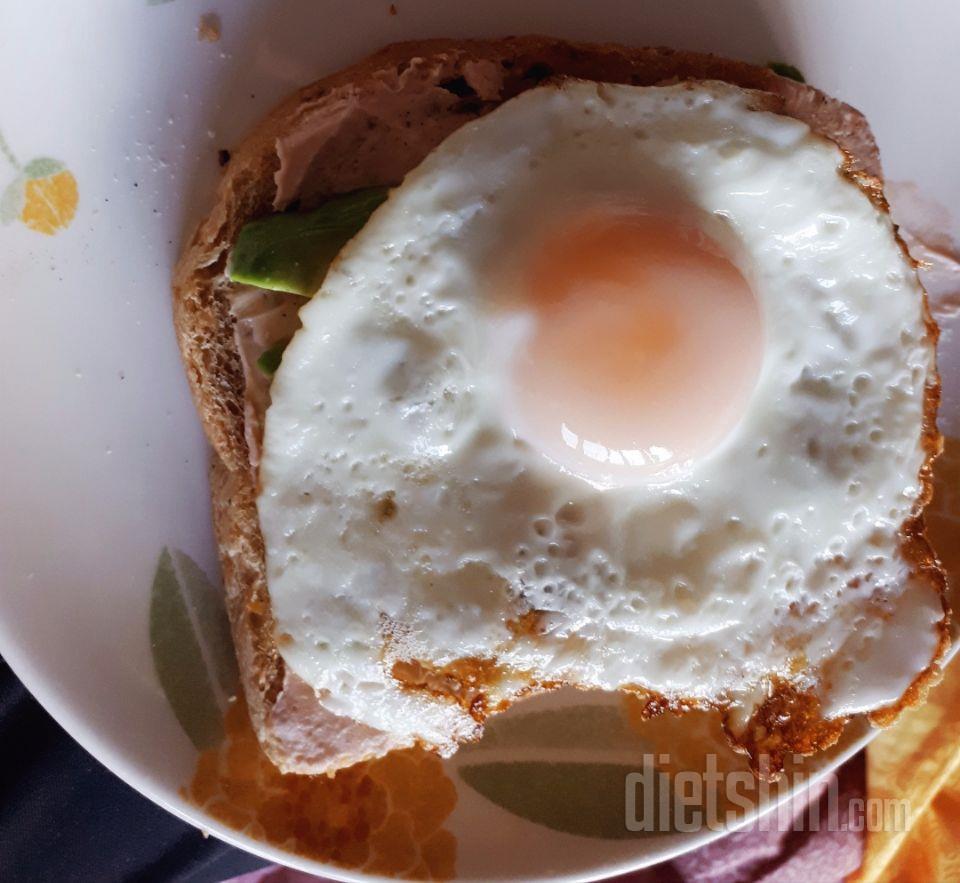 새싹발아 통밀식빵 후기!