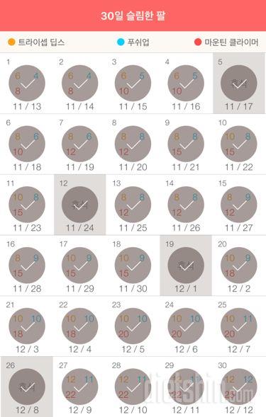 30일 슬림한 팔 60일차 성공!