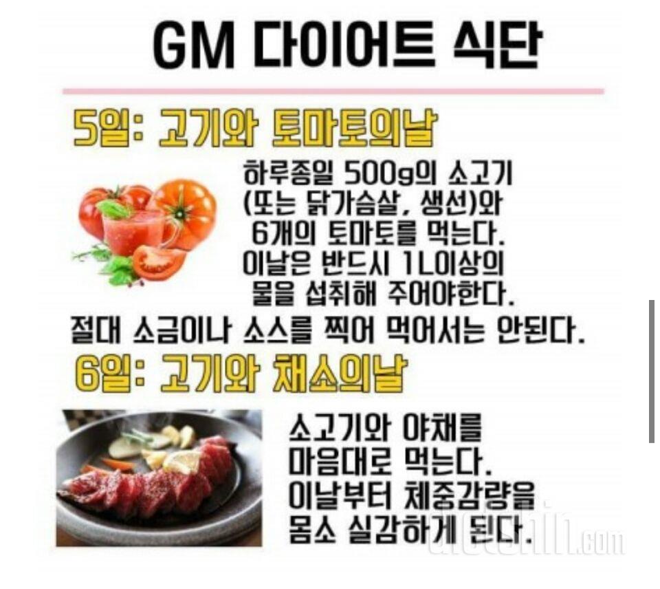 내일부터 GM다이어트 시작합니다!