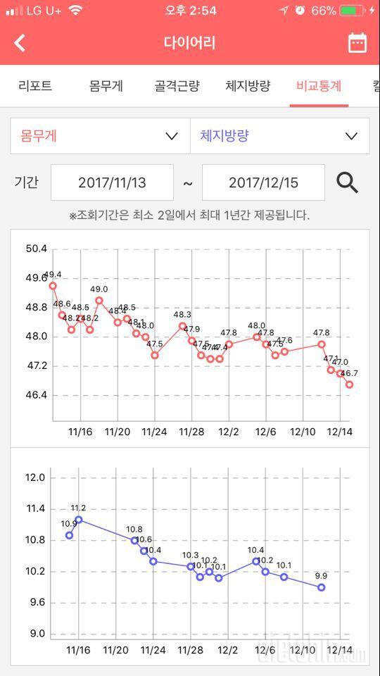 플랭크,슬림팔,물,당줄이기 도전목록 완료후기