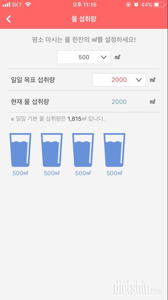 30일 하루 2L 물마시기 20일차 성공!