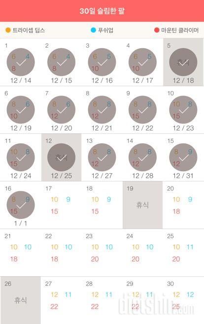 30일 슬림한 팔 16일차 성공!