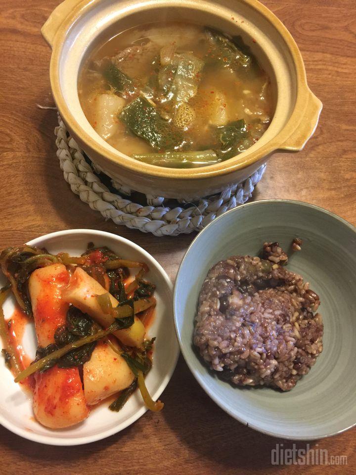 1/4 공체 식단