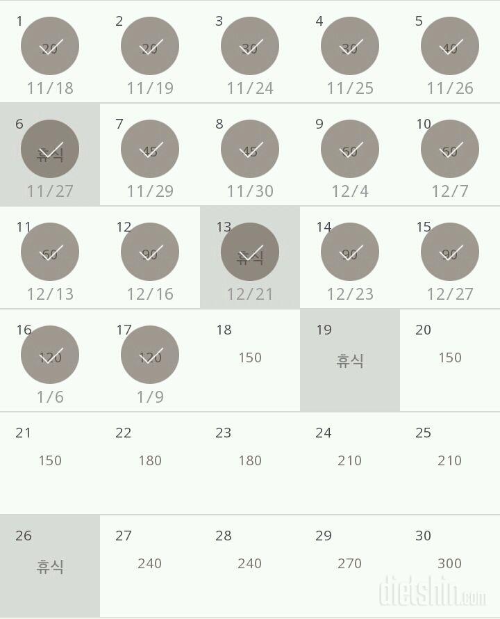 30일 플랭크 17일차 성공!