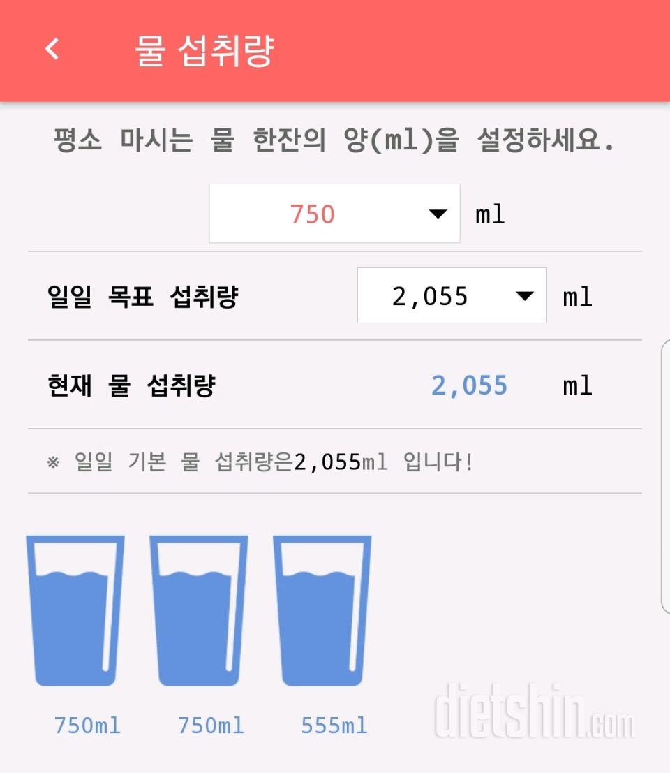 30일 하루 2L 물마시기 13일차 성공!