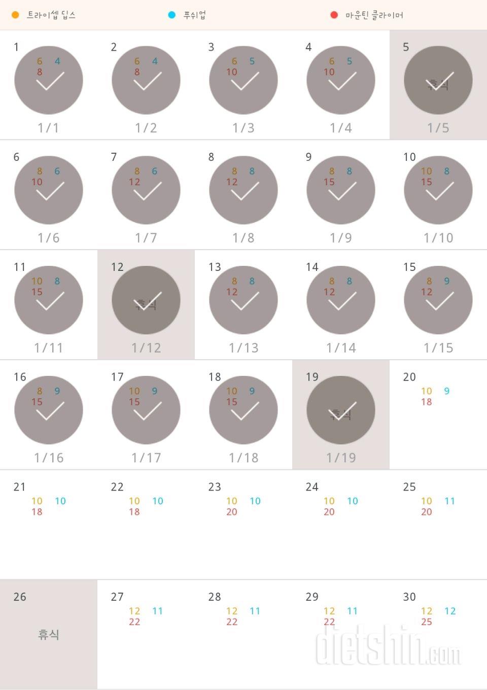 30일 슬림한 팔 19일차 성공!