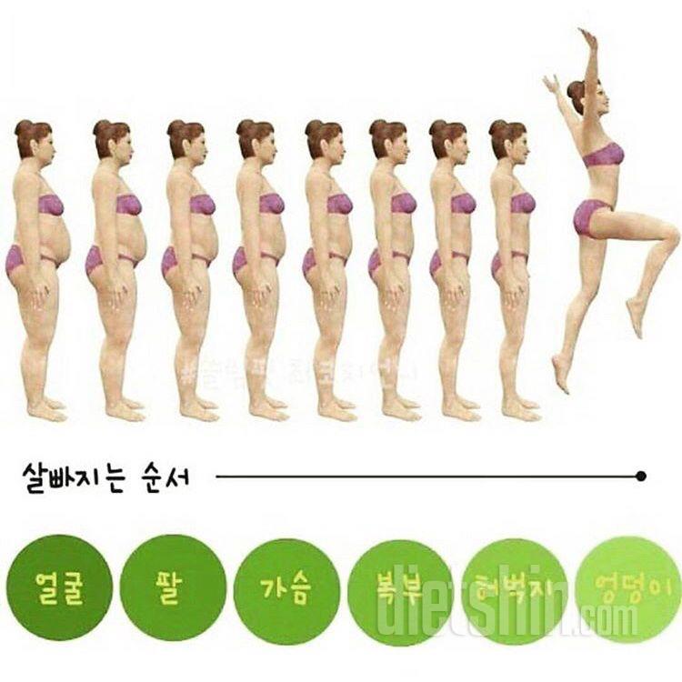 살빠지는순서