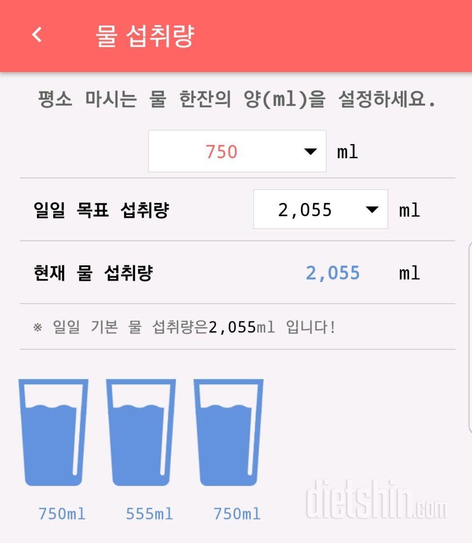 30일 하루 2L 물마시기 15일차 성공!