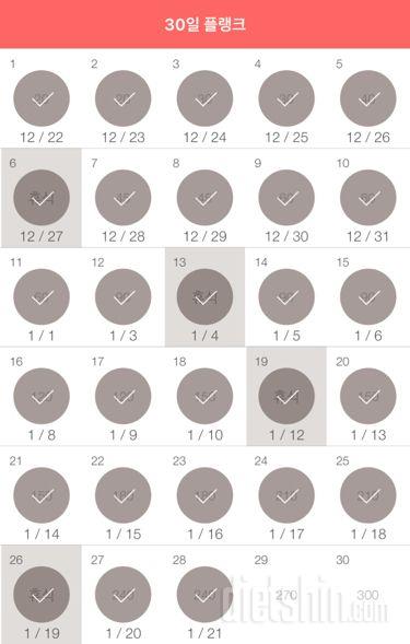 30일 플랭크 238일차 성공!