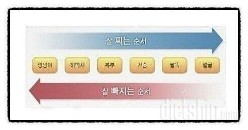 볼살 빠질려면 몇키로 빼야 하나요?