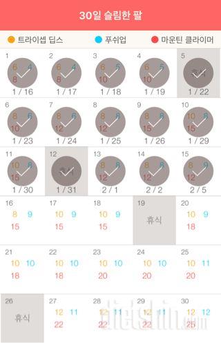 30일 슬림한 팔 15일차 성공!