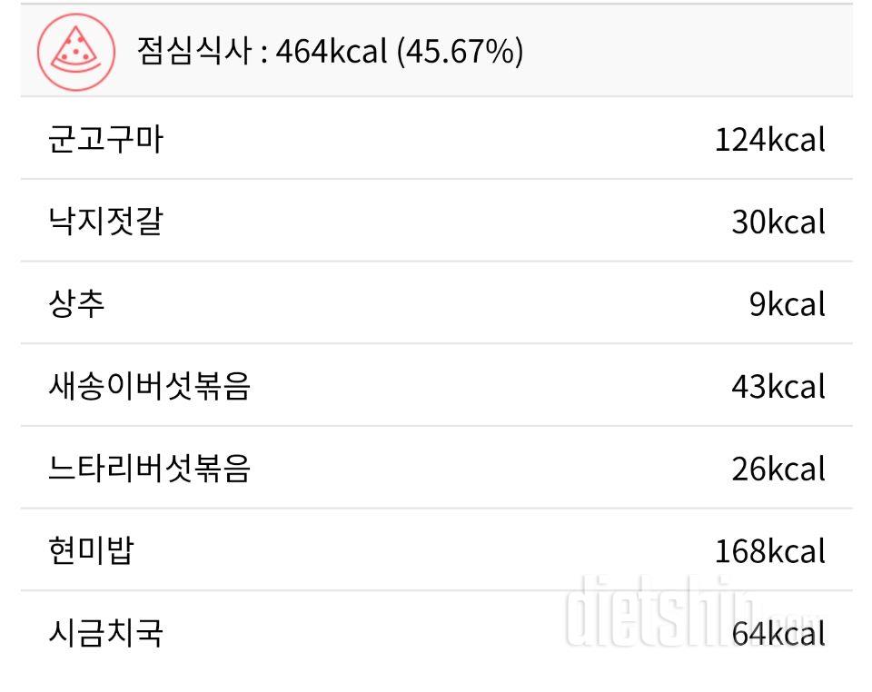 오늘 하루 총 정리