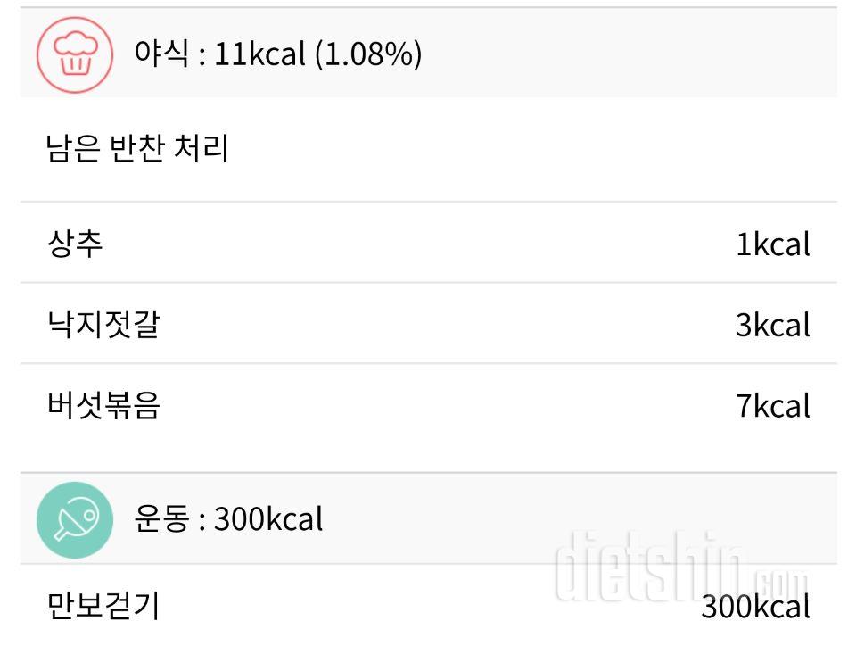 오늘 하루 총 정리