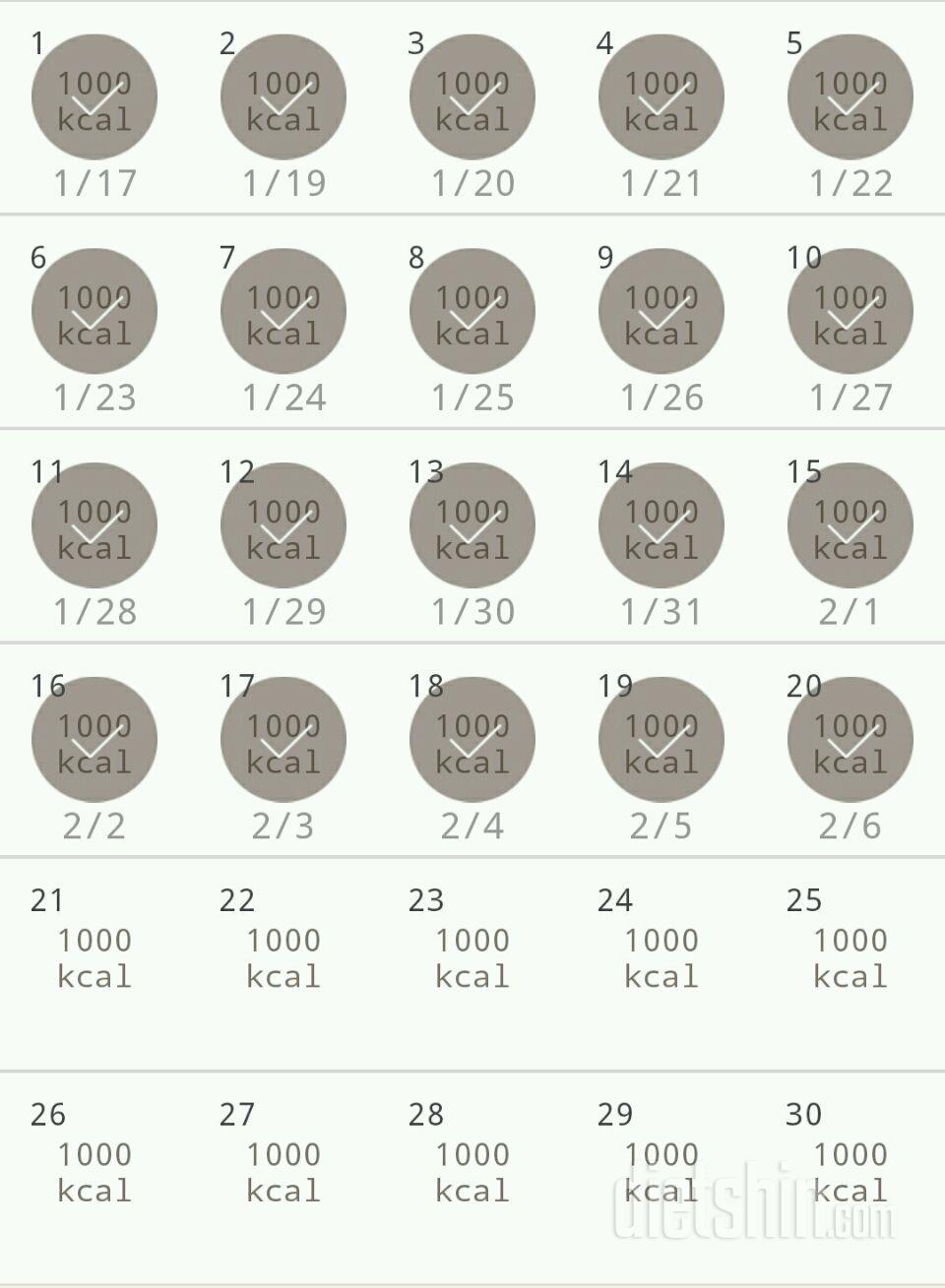 30일 1,000kcal 식단 20일차 성공!