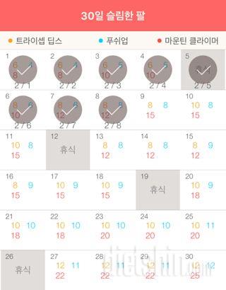 30일 슬림한 팔 8일차 성공!