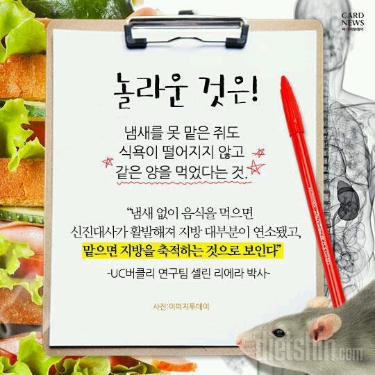 냄새만 맡아도 살찐다?