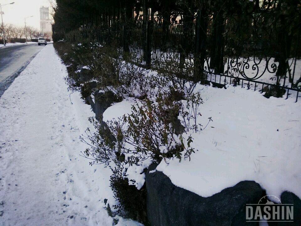 코코트리 코코넛워터🎵아침운동과 함께!