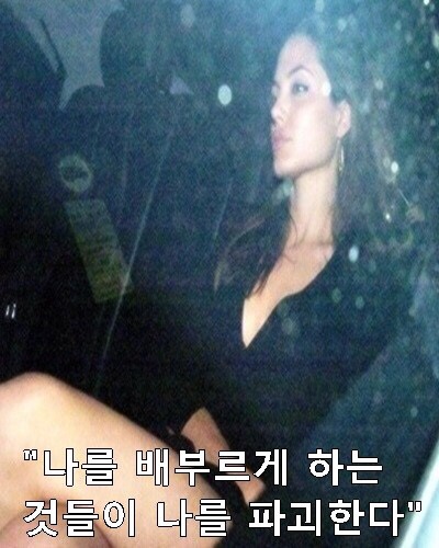 연예인 다이어트 어록