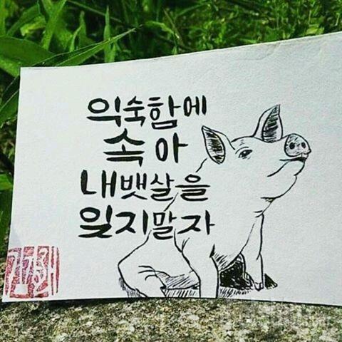 조금이나마 자제를 위한 사진들