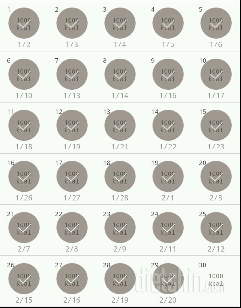 30일 1,000kcal 식단 29일차 성공!