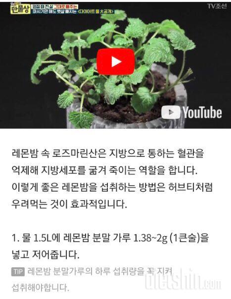 요즘 핫하다는 레몬밤 섭취방법입니다~