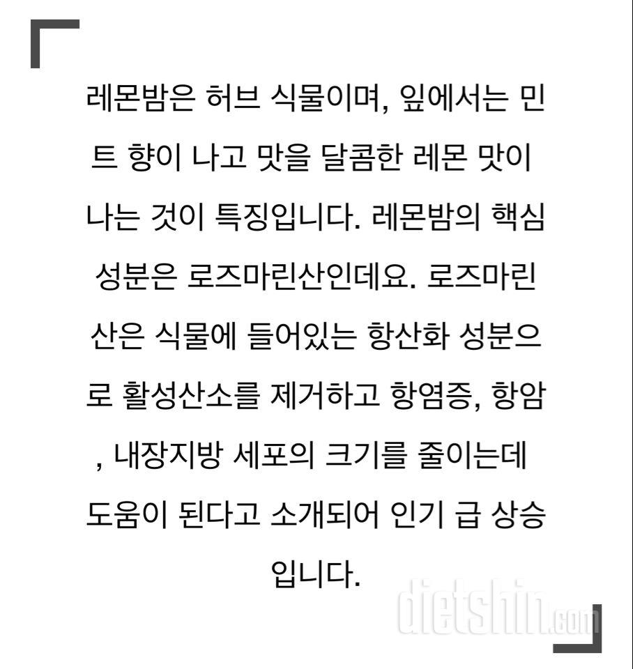 요즘 핫하다는 레몬밤 섭취방법입니다~