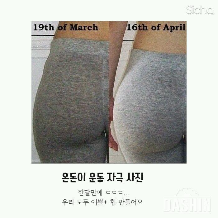 애플힙 운동 & 30일 후기