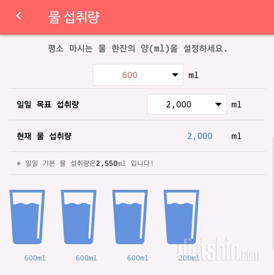 30일 하루 2L 물마시기 6일차 성공!