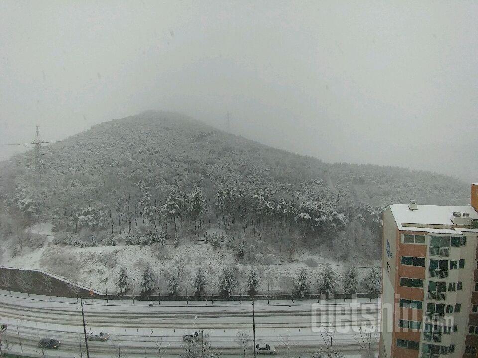 아... 오늘도 산책은 틀렸나 봐요.