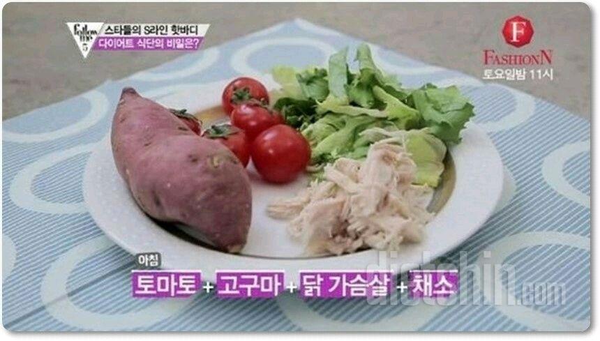 초보다이어터