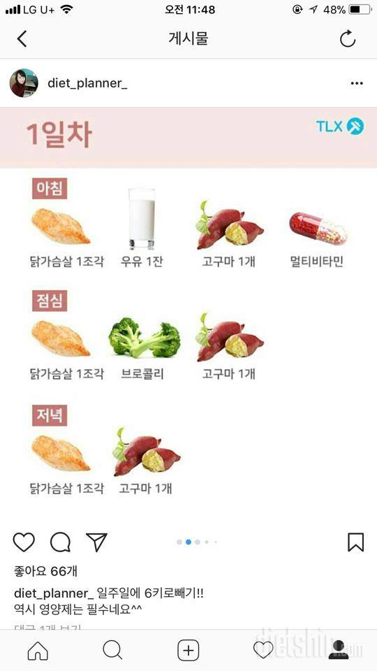 귀차니즘 직장인 식단