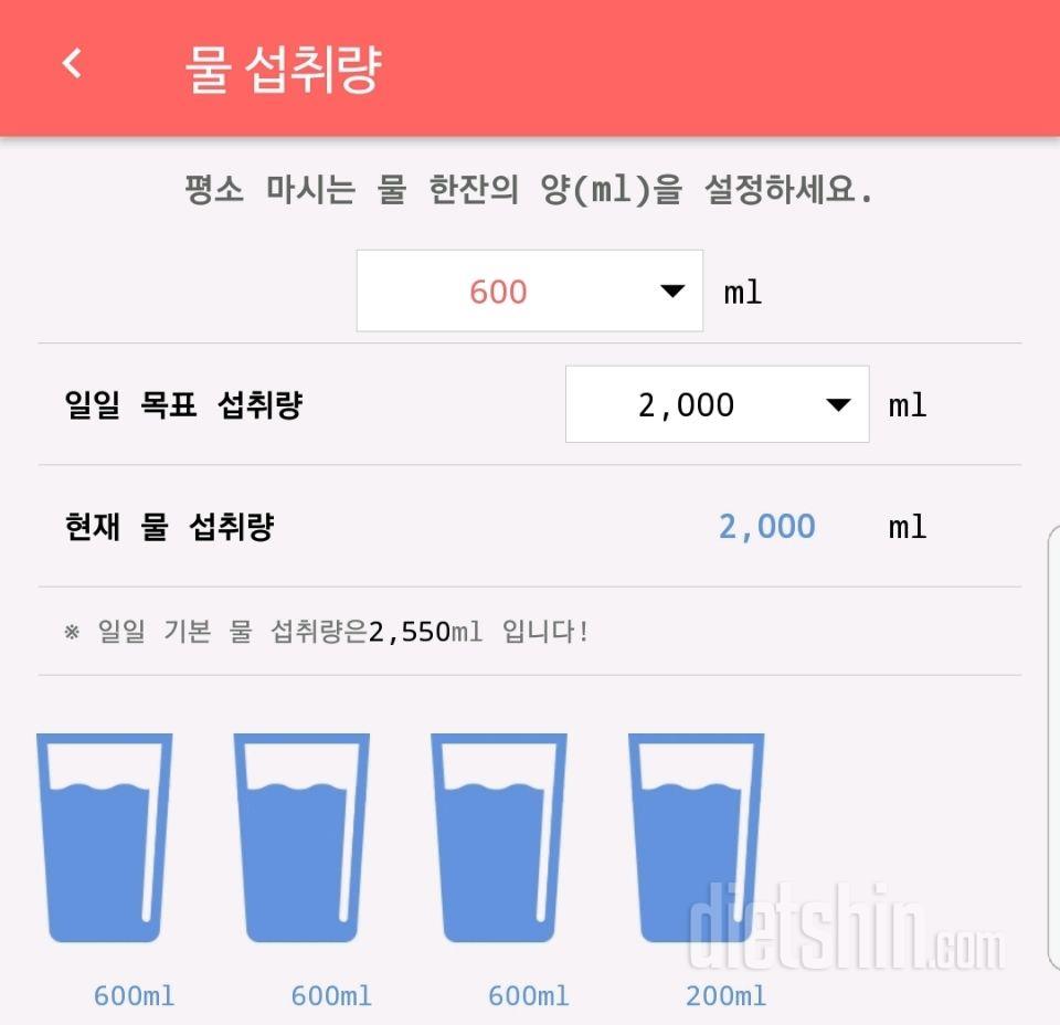 30일 하루 2L 물마시기 13일차 성공!