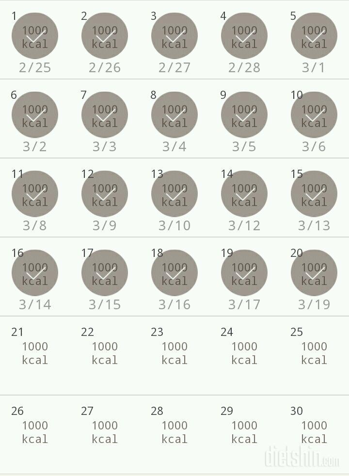 30일 1,000kcal 식단 20일차 성공!