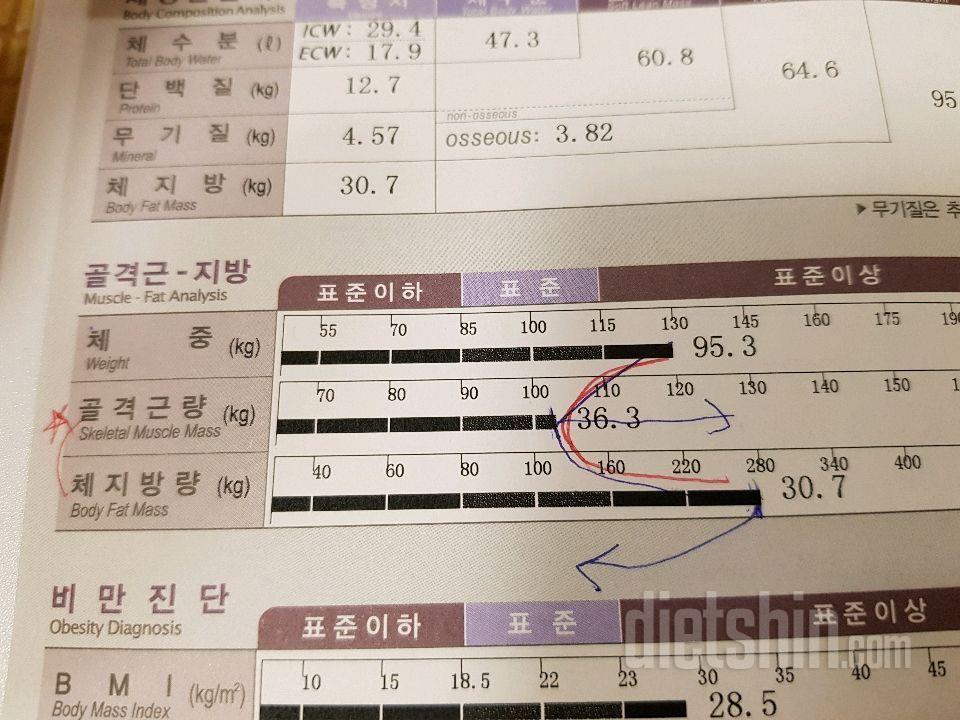 비빔밥과 6시이후금식으로 6.2kg 감량했어요