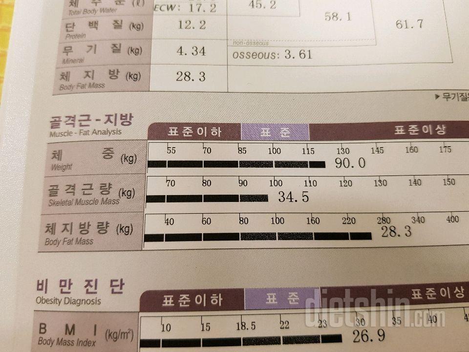 비빔밥과 6시이후금식으로 6.2kg 감량했어요