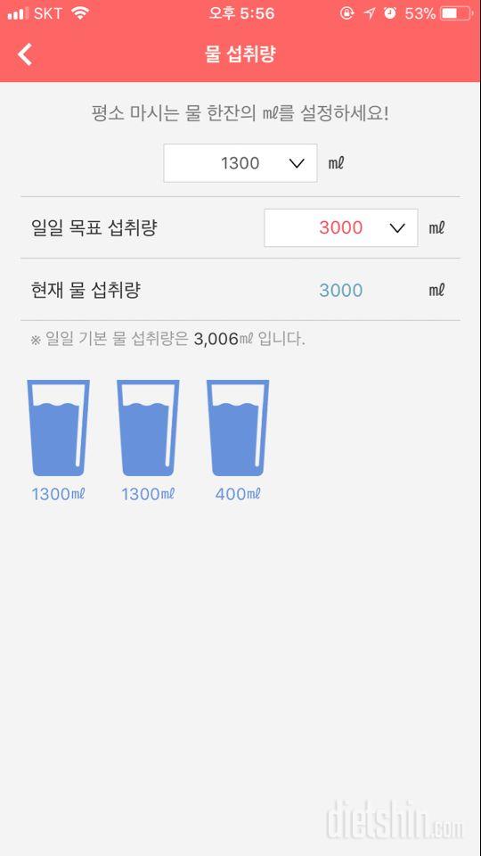 30일 하루 2L 물마시기 10일차 성공!