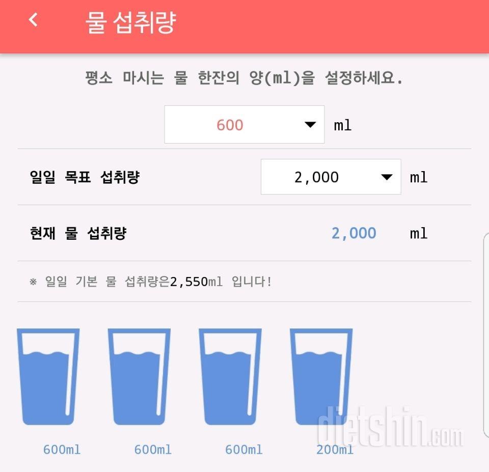 30일 하루 2L 물마시기 23일차 성공!