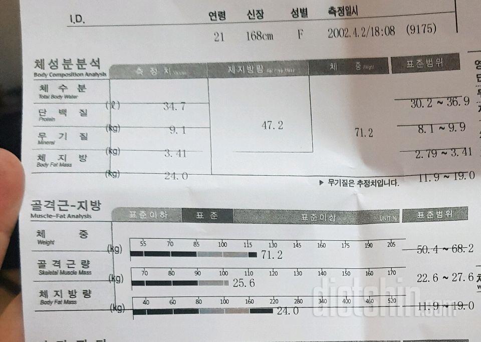 다이어트 2주째