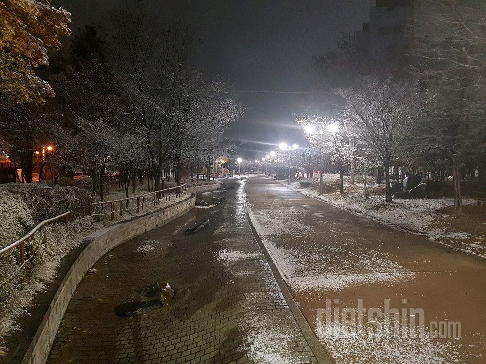 겨울 그리고 봄