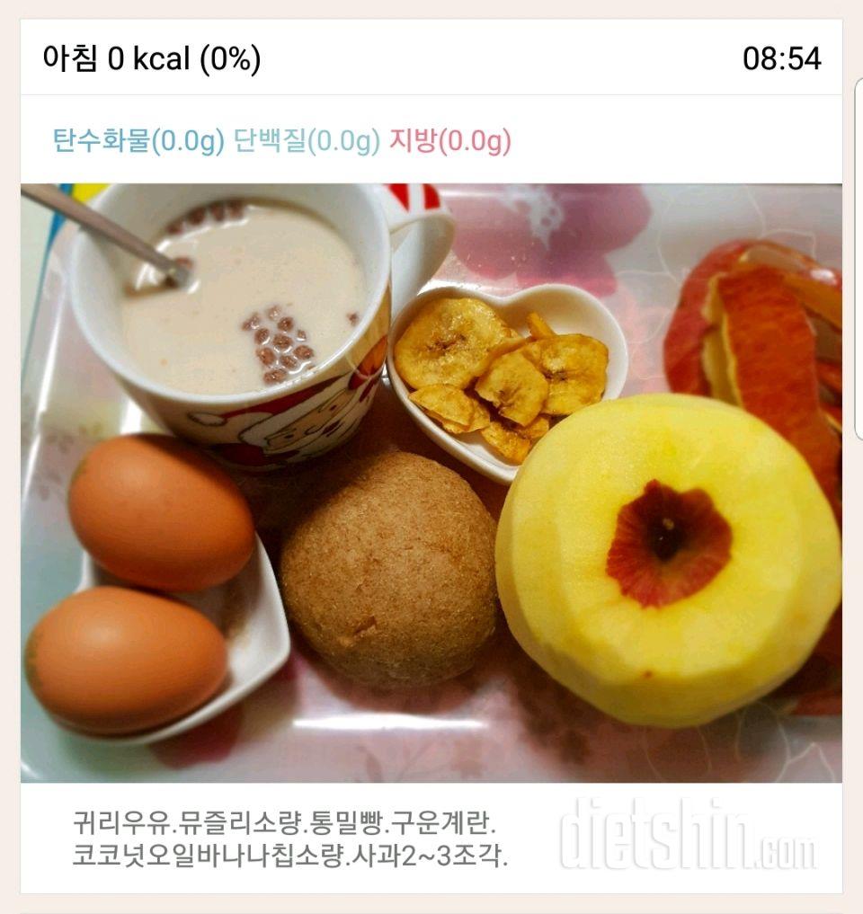 4.4.수.아침.