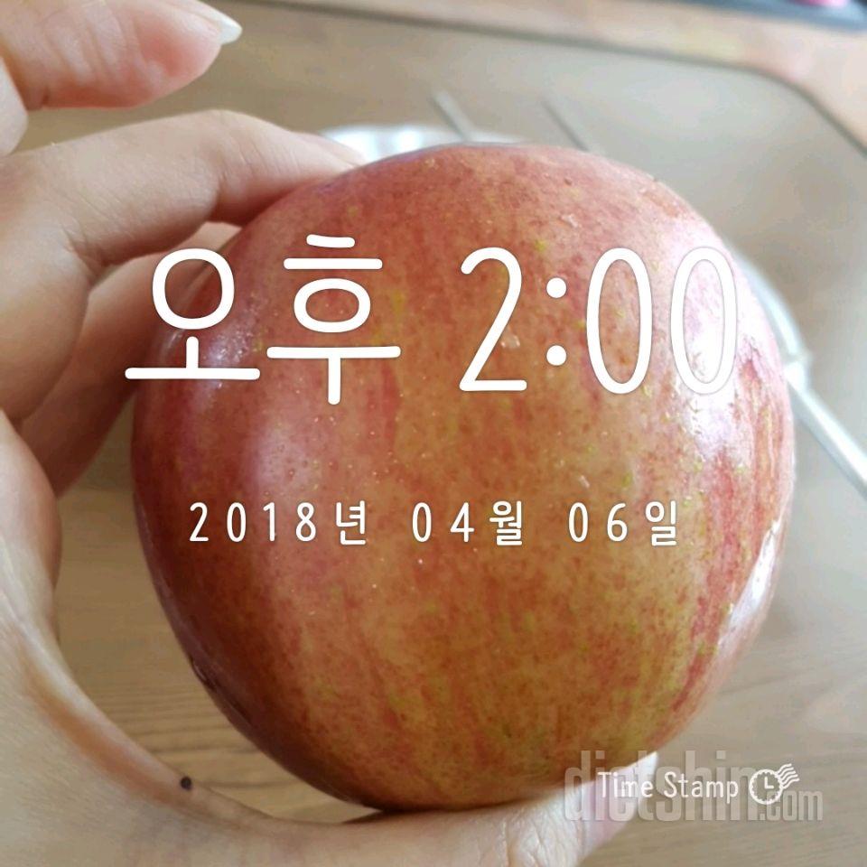 0406 하루식단