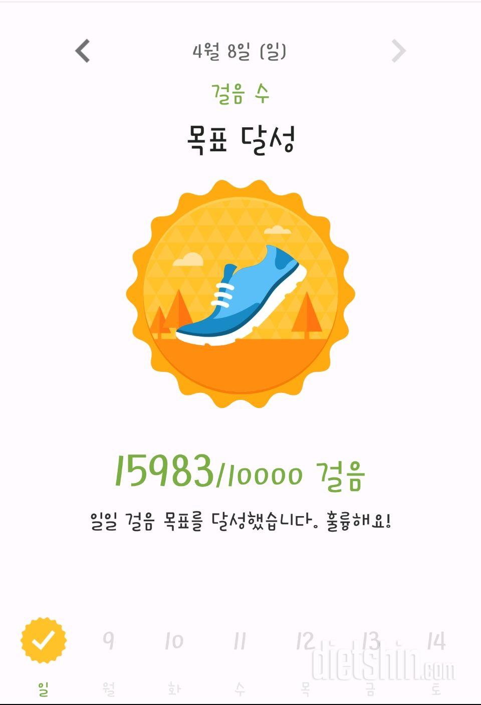 30일 만보 걷기 50일차 성공!