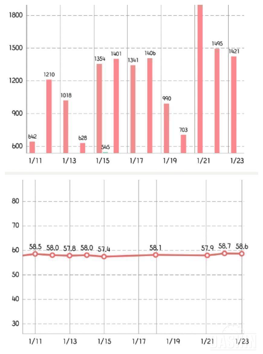 ★모데어 더치핏 최종후기┏(^-^)┛