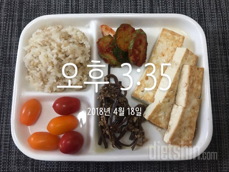 0418 영양/운동 일지