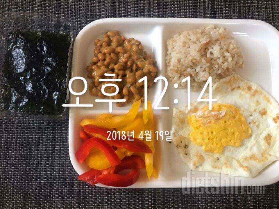 0419 영양/운동일지