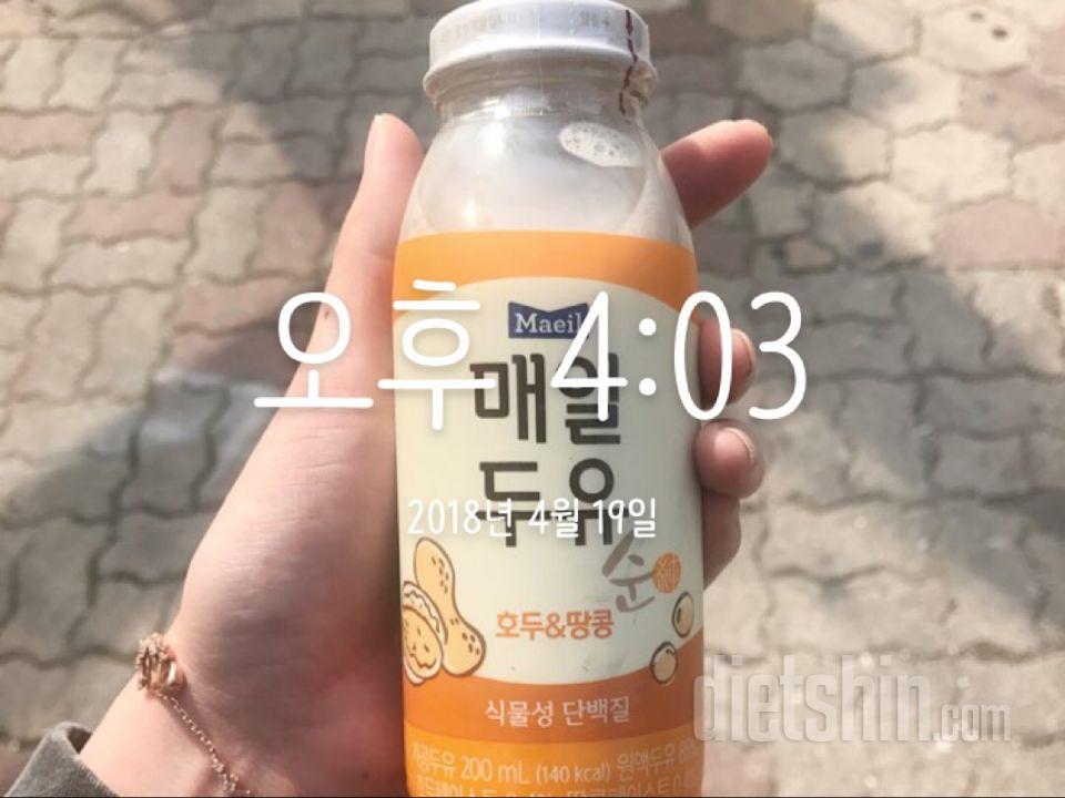 0419 영양/운동일지