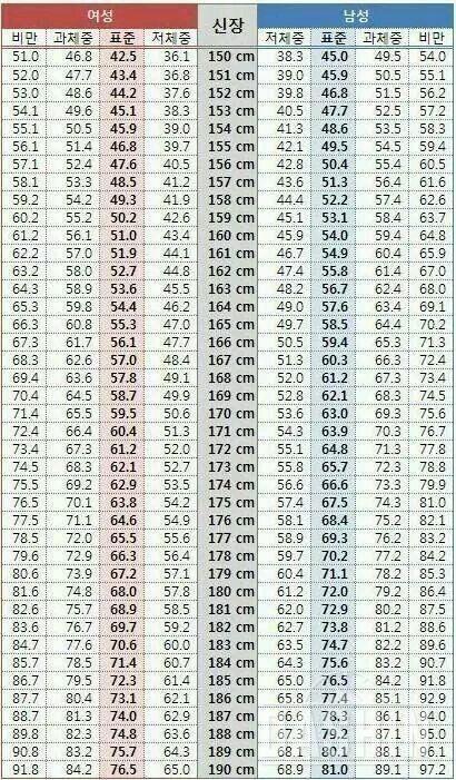 나는비만일까?알아보기