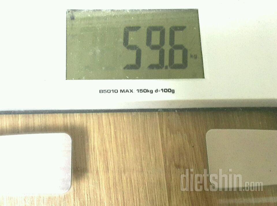 황금기..  59.6