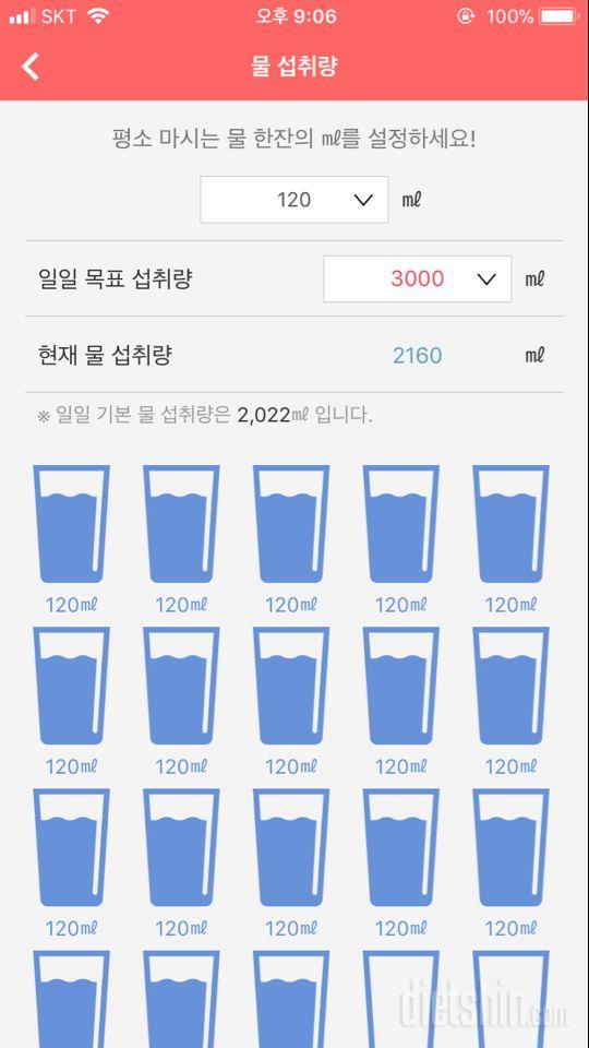 30일 하루 2L 물마시기 1일차 성공!